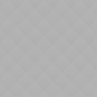 Finissage of Reads Like a Book exhibition