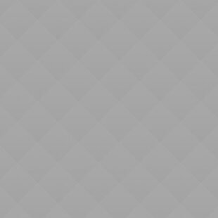 Book Presentation of Artist Novels